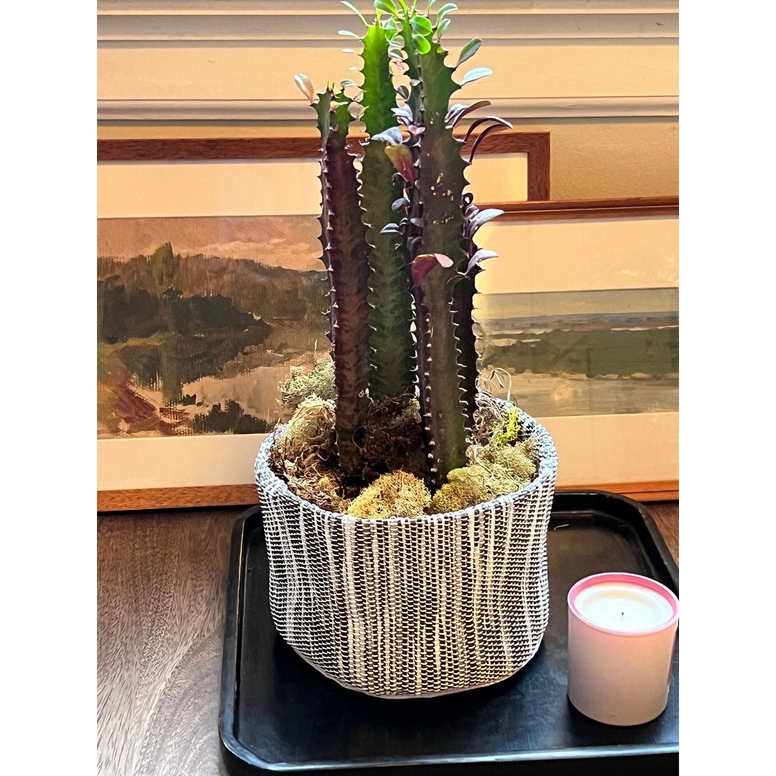 Gray Round Planter