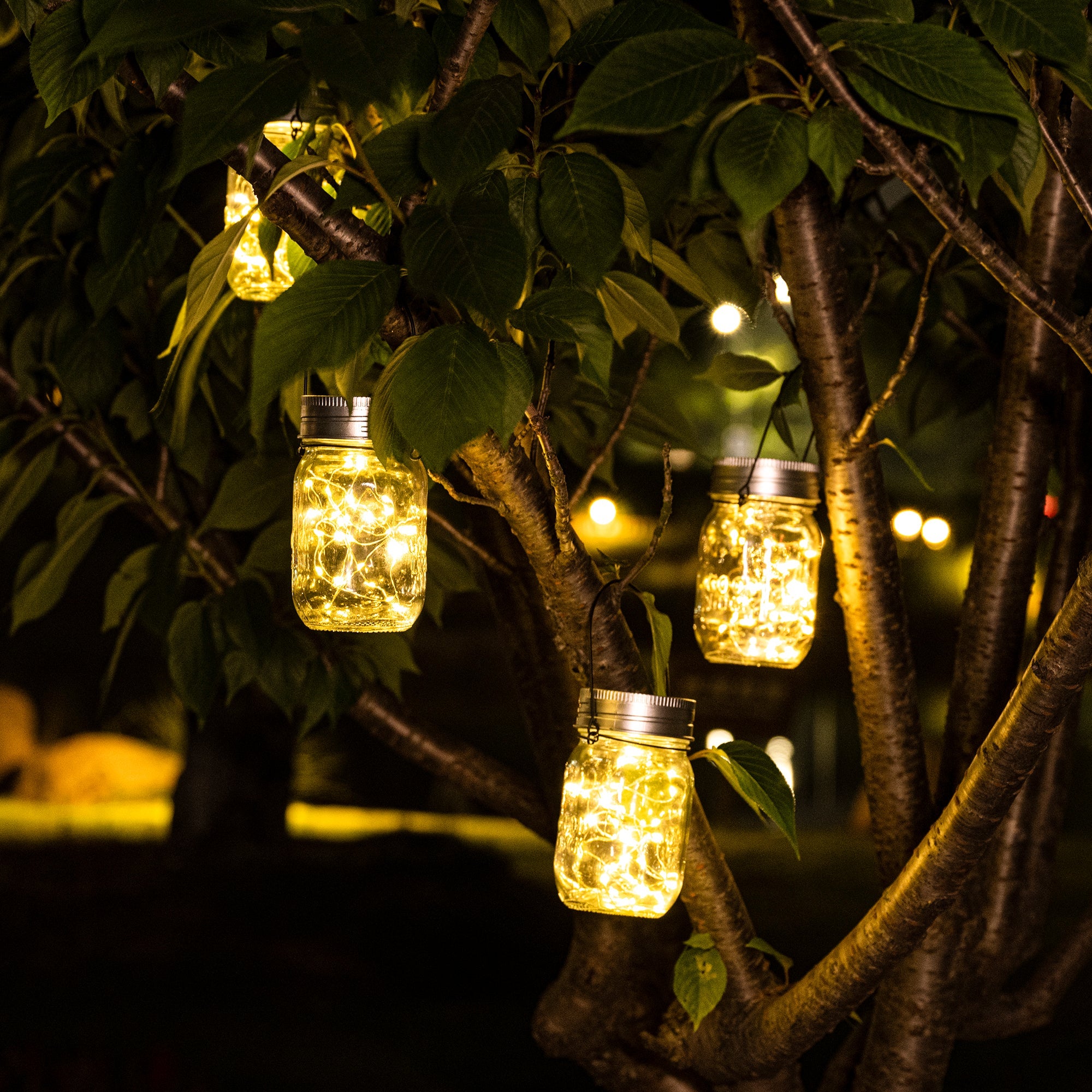 Gigalumi Solar Mason Jar Lights Set (6&8&12 Pack)